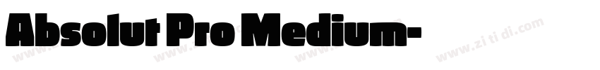 Absolut Pro Medium字体转换